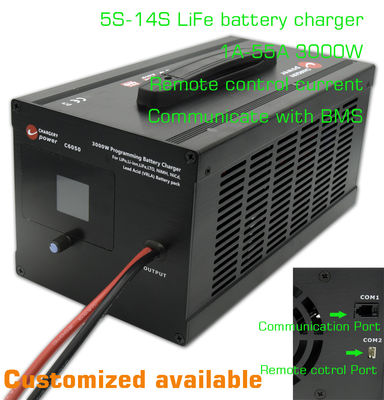 14S LFP Lithium Lifepo4 Caricabatterie da CA a CC Sistema di stoccaggio dell'energia 51.1V 3000W